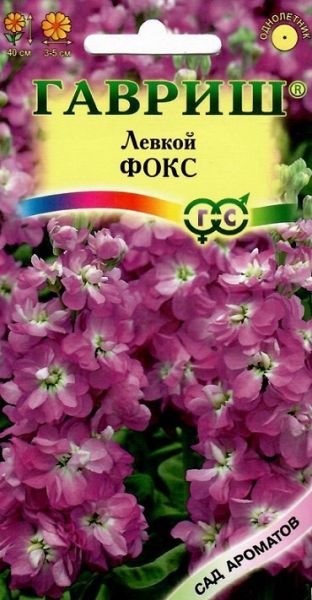Однолетник Левкой Фокс Сад ароматов Гавриш