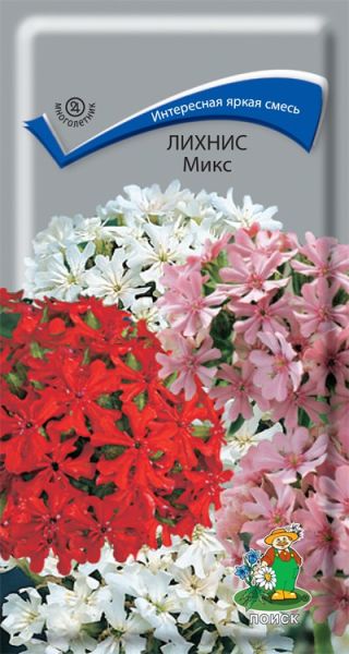 Многолетник Лихнис Микс ЦВ Поиск