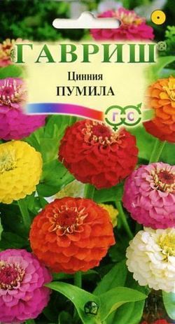 Однолетник Цинния Пумила Гавриш