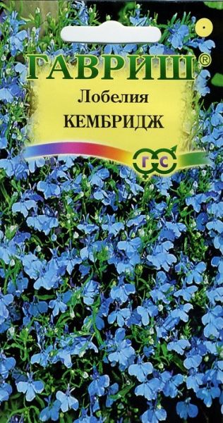Однолетник Лобелия Кембридж Гавриш
