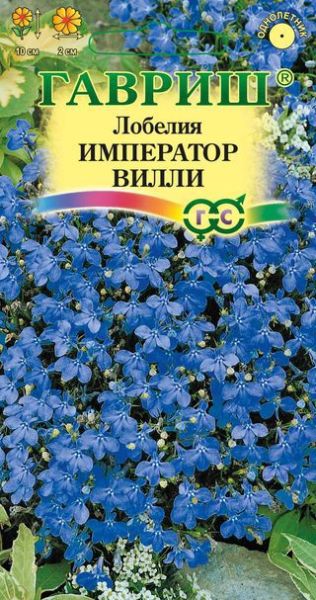Однолетник Лобелия Император Вилли Гавриш