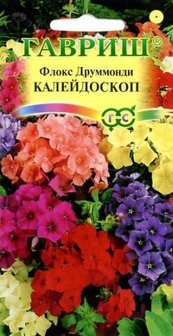 Однолетник Флокс Калейдоскоп, друммонда Гавриш