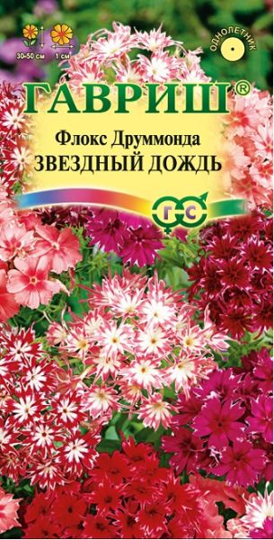 Однолетник Флокс Звездный дождь, друммонда Гавриш