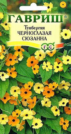 Однолетник Тунбергия крылатая Черноглазая Сюзанна Гавриш