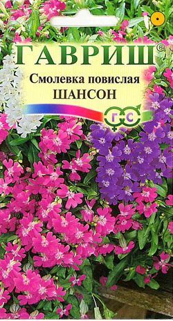 Однолетник Смолевка повислая Шансон Гавриш