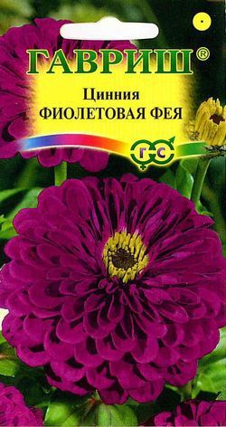 Однолетник Цинния Фиолетовая фея Гавриш