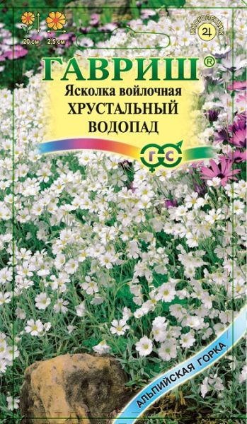 Многолетник Ясколка войлочная Хрустальный водопад Гавриш