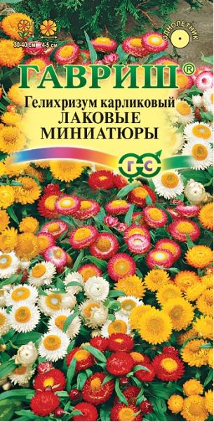 Однолетник Гелихризум карлик. Лаковые миниатюры Гавриш