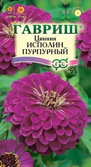 Однолетник Цинния Исполин пурпурный Гавриш