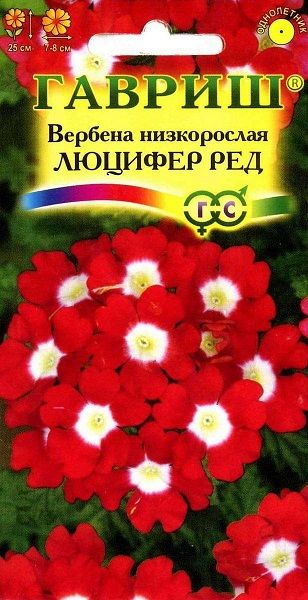 Однолетник Вербена Люцифер Ред Гавриш