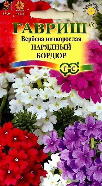 Однолетник Вербена Нарядный бордюр Гавриш