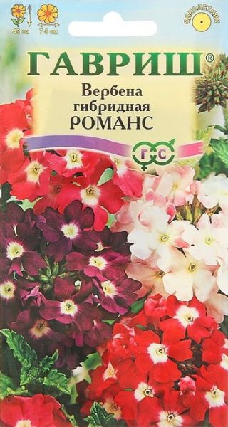 Однолетник Вербена Романс Гавриш