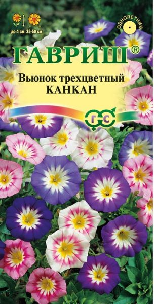 Однолетник Вьюнок Трехцветный Канкан Гавриш