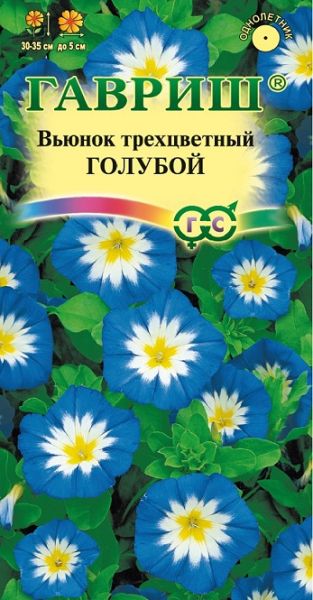 Однолетник Вьюнок Трехцветный голубой Гавриш