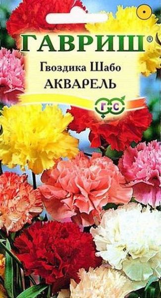 Двулетник Гвоздика Шабо Акварель Гавриш
