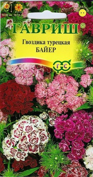 Двулетник Гвоздика турецкая махровая Байер  Гавриш