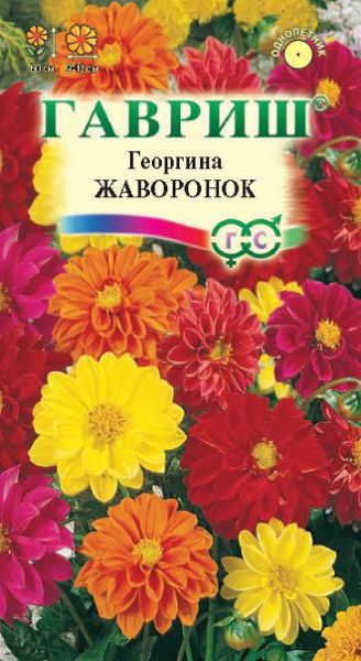 Однолетник Георгина Жаворонок Гавриш