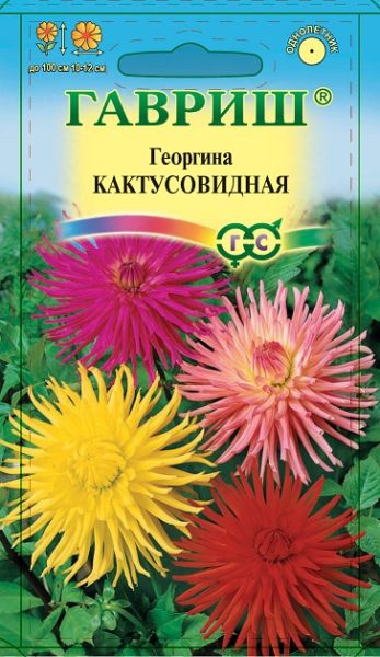 Однолетник Георгина Кактусовидная Гавриш