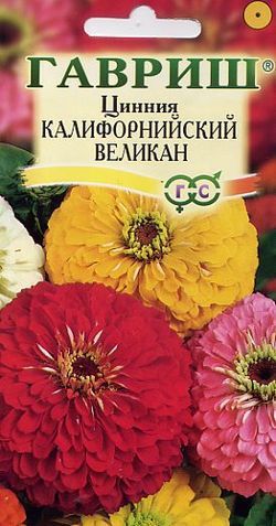 Однолетник Цинния Калифорнийские великаны Гавриш