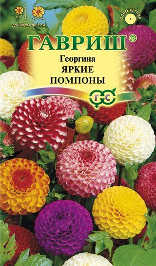 Однолетник Георгина Яркие помпоны Гавриш