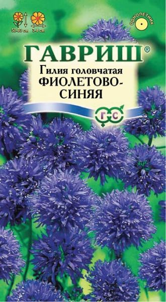 Однолетник Гилия головчатая Фиолетово-синяя Гавриш