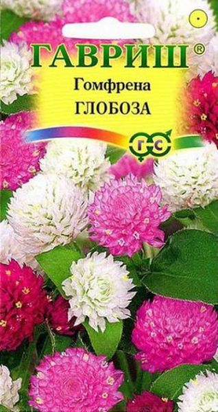 Однолетник Гомфрена Глобоза Гавриш