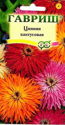 Однолетник Цинния Кактусовая Гавриш