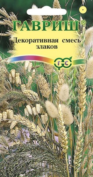 Однолетник Декоративная смесь злаков Гавриш