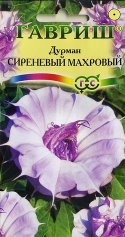 Однолетник Дурман Сиреневый Махровый Гавриш