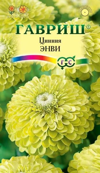 Однолетник Цинния Энви Гавриш
