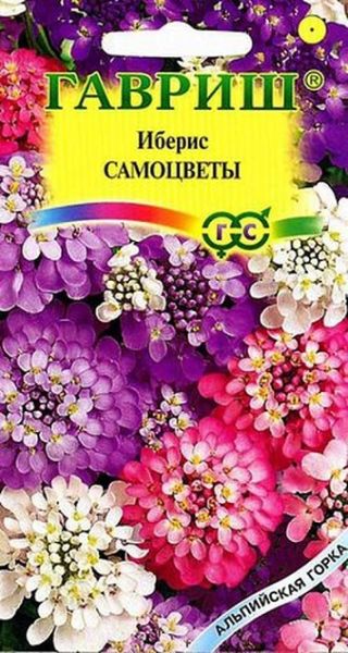 Однолетник Иберис Самоцветы Альпийская горка Гавриш