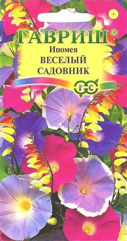 Однолетник Ипомея Веселый садовник Гавриш