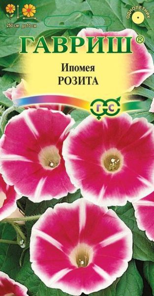 Однолетник Ипомея Розита Гавриш