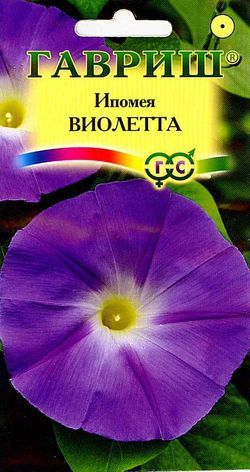 Однолетник Ипомея Виолетта Гавриш
