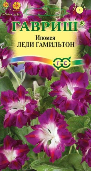 Однолетник Ипомея Леди Гамильтон Гавриш