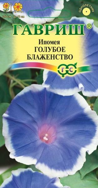 Однолетник Ипомея Голубое блаженство Гавриш