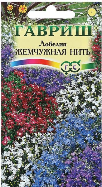 Однолетник Лобелия Жемчужная нить Гавриш
