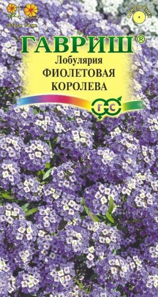 Однолетник Лобулярия Фиолетовая королева Сад ароматов Гавриш