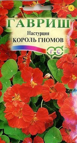 Однолетник Настурция Король гномов  Гавриш