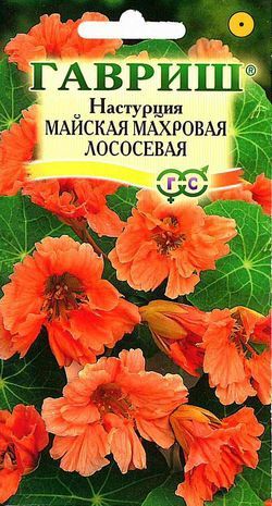 Однолетник Настурция майская махровая Лососевая DH Гавриш