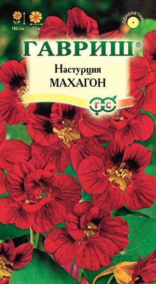 Однолетник Настурция Махагон махровая Гавриш