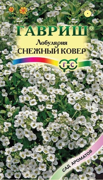 Однолетник Лобулярия Снежный ковер морская Сад ароматов Гавриш