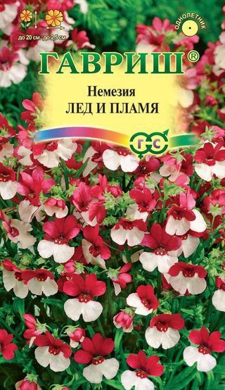 Однолетник Немезия Лед и пламя Гавриш