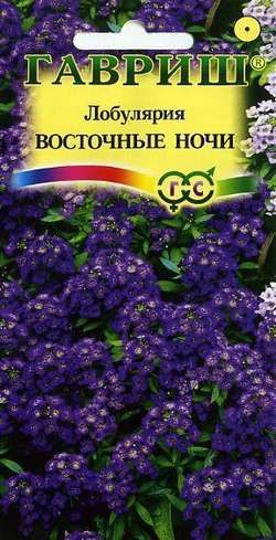 Однолетник Лобулярия Восточные ночи Сад ароматов Гавриш
