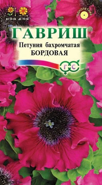 Однолетник Петуния Бордовая бахромч. Пробирка Гавриш