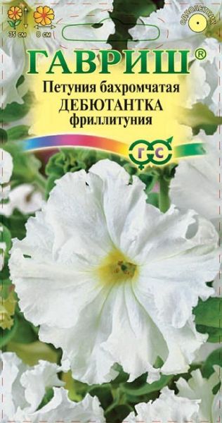 Однолетник Петуния Дебютантка бахр. Пробирка Гавриш