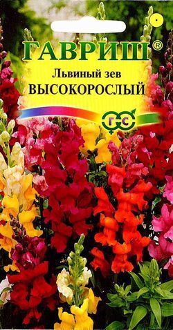 Однолетник Львиный зев высокорослый Гавриш