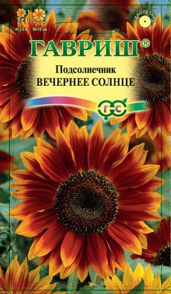 Однолетник Подсолнечник Вечернее солнце Гавриш