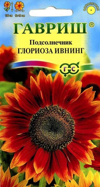 Однолетник Подсолнечник Глориоза Ивнинг Гавриш