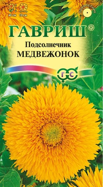 Однолетник Подсолнечник Медвежонок Гавриш